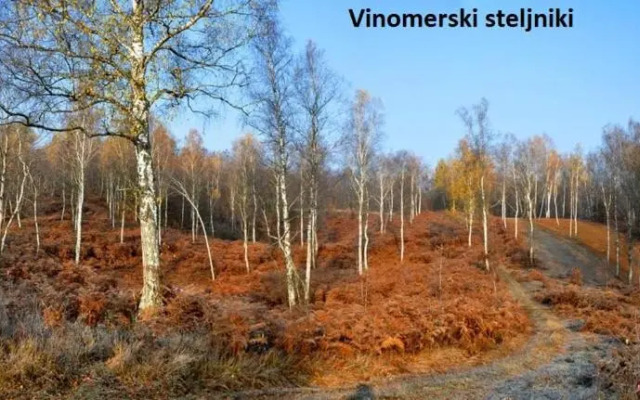 Vikend apartma Ma&Ja