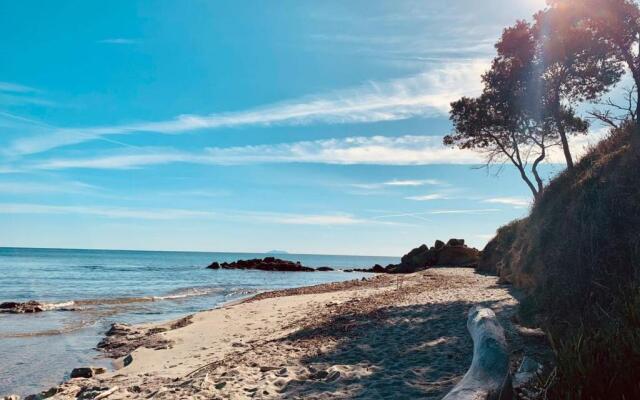 BRAVONE 61- T2- Pieds dans l'eau-Piscine chauffée dans résidence- clim