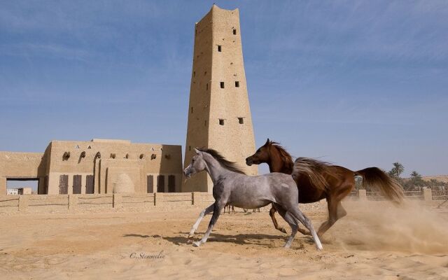 Taziry Ecolodge & Sustainable Village