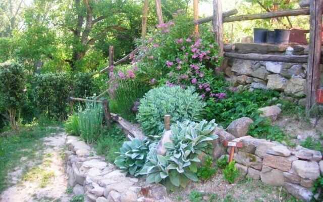 Azienda Agrituristica La Canestra