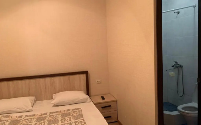 Guesthouse on Voronova 86