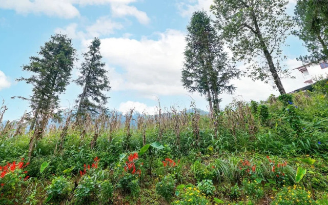 Charm Hill Sapa Hotel