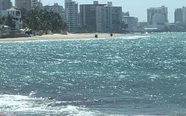 Ocean View Gorgeous 1 Bedroom Apt