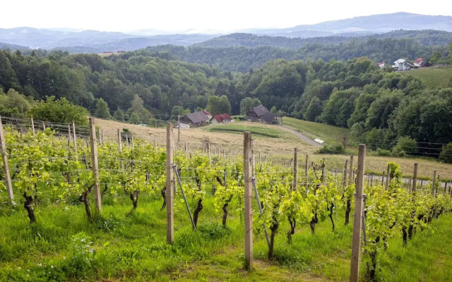 Apartment at the Vesel Homestead, Local Experience