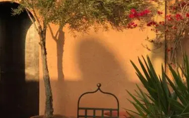 Riad Zahir