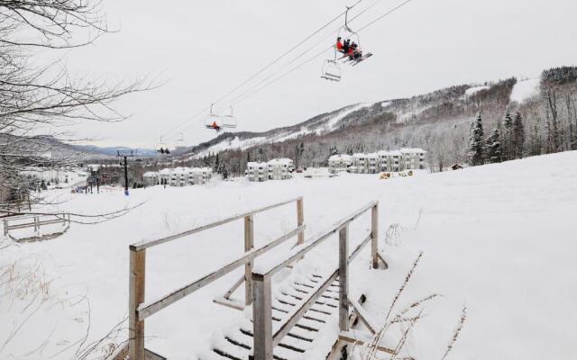 Chalets Alpins-36 Chemin des skieurs
