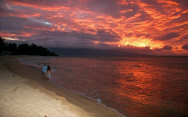 Maui Beachcomber