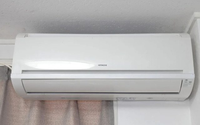 Vivid Zebra House - 197-1