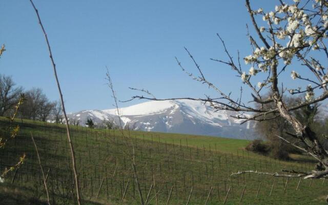 Agriturismo Serpanera