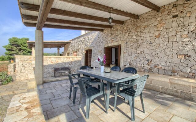 Pino Amazing Seaview