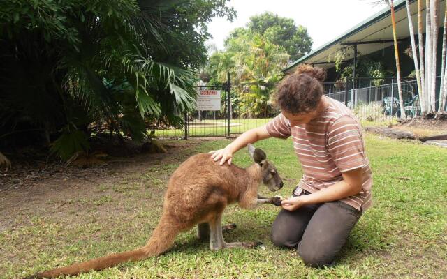 Daintree Wild Zoo & B&B