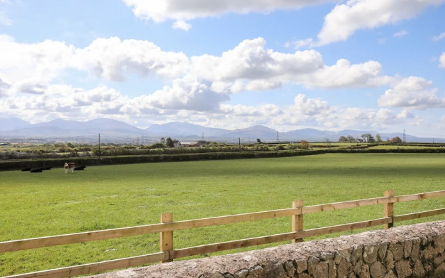 Mynydd Mwyn