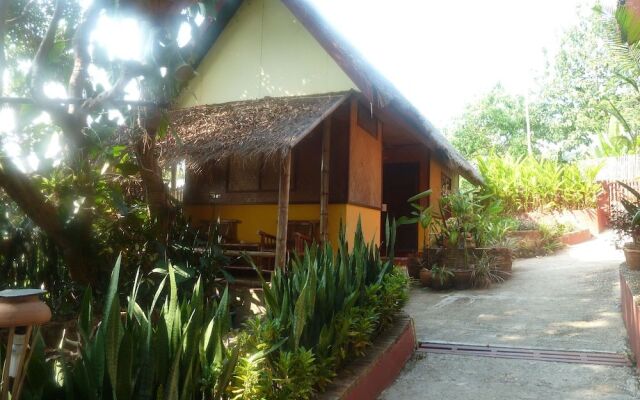 Old Tree's House