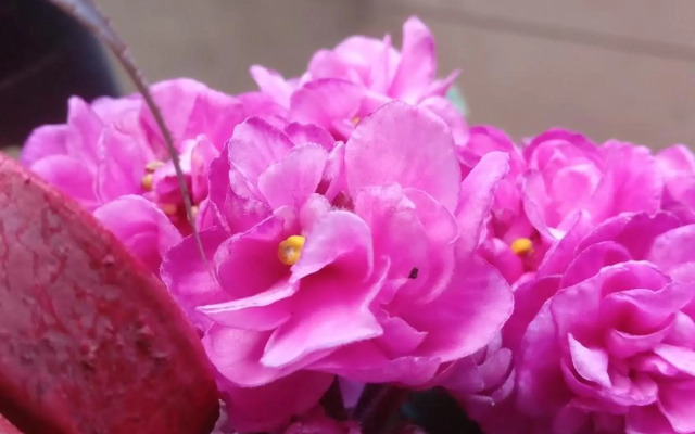 Se hospede num Cantinho Gourmet