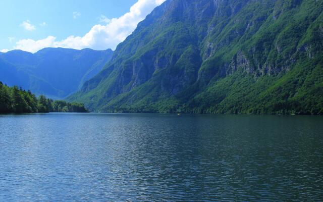 Charming Apartment in Bohinjska Bistrica with Barbecue