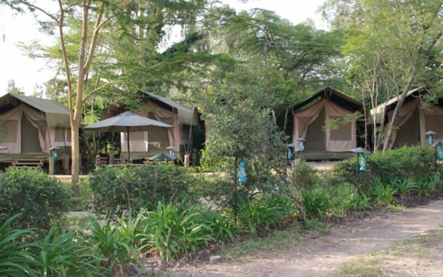 Wildebeest Eco Camp