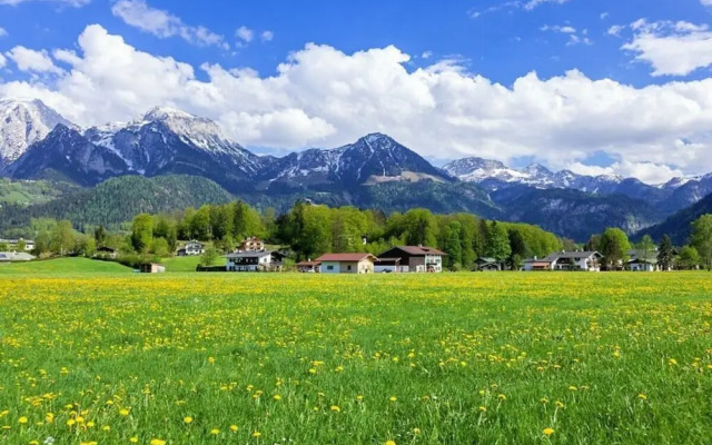 Rooster 2 -kierngasshausl-