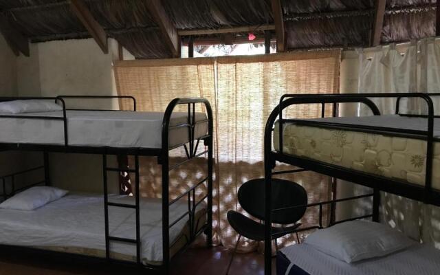 Palapa Hut Nature Hostel & Campground