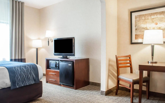 Comfort Inn & Suites Hamburg - Buffalo South