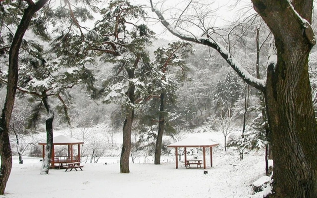 Wonju Chiaksan Juryeongol Pension
