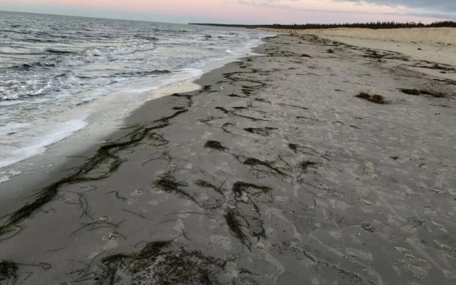 Katis Nest Comfortable Holiday Residence