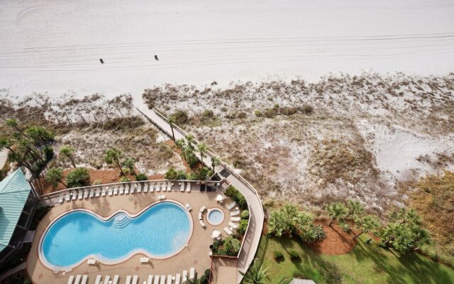 Hidden Dunes 1503 - Funky Monkey