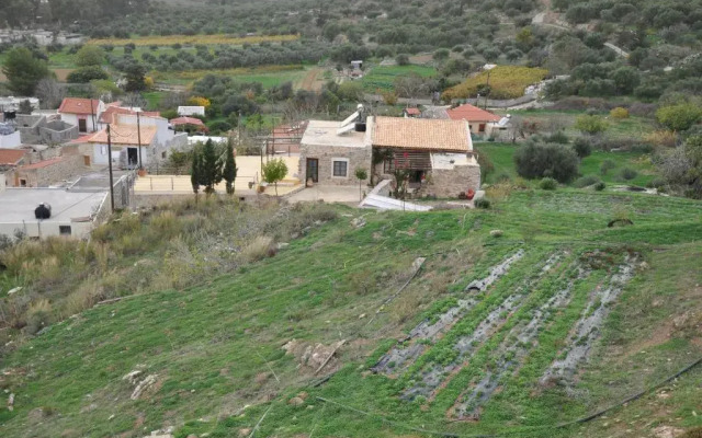 Agrotourism Traditional House
