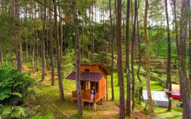 Kampung Rimba by Anrha