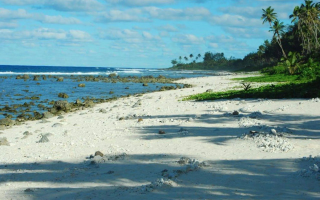 Tropical Sands