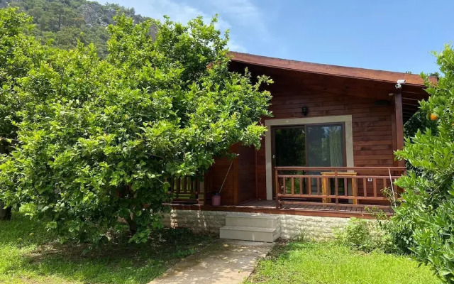 Cirali Villas 2