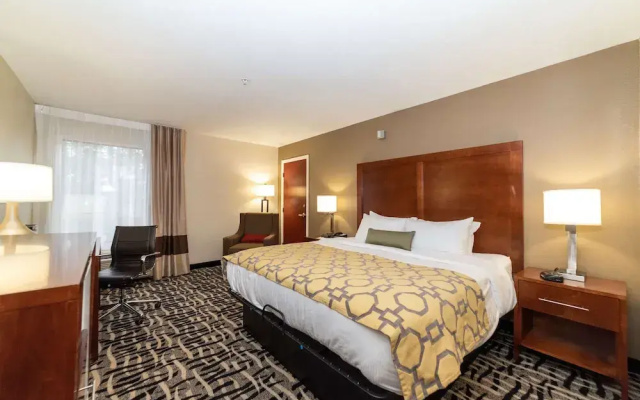 Comfort Inn (arkadelphia)