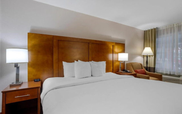 Comfort Inn Downtown Nashville - Music City Center