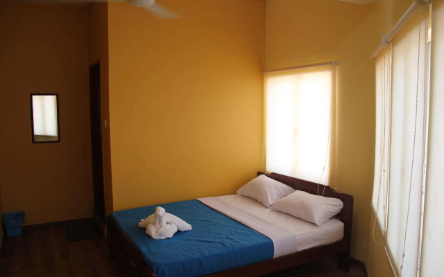Fat Rhino Hostel