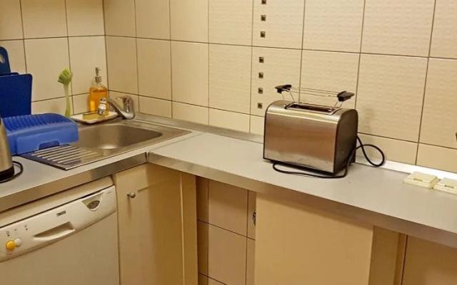 Apartment Lisinski S