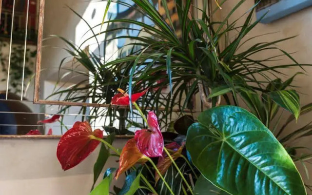 The Sonetto Hotel Santa Croce, Sonder by Marriott Bonvoy