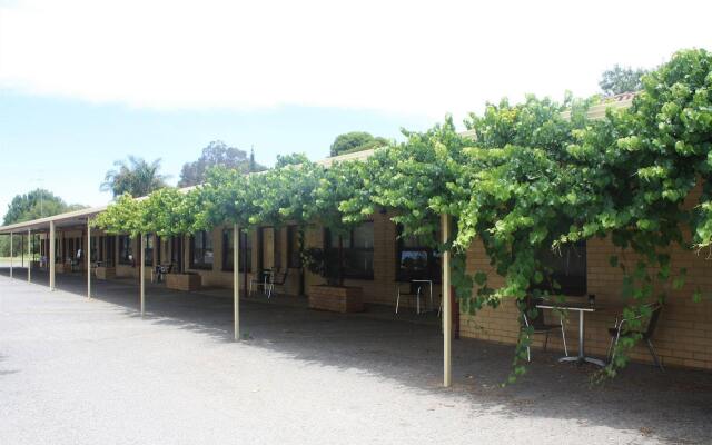 Angaston Vineyards Motel