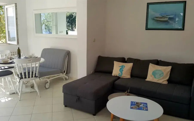 Apartment Damir