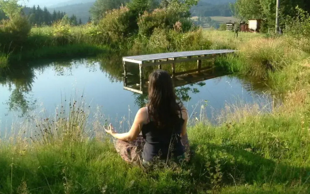 Nesterl Modern Retreat