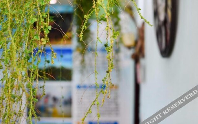 Weiyi Themed Hostel