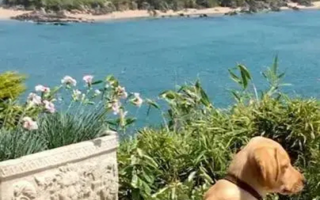 The Stables @ Higher Stancombe Farm