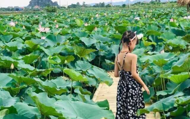 Tam Coc Craft Homestay