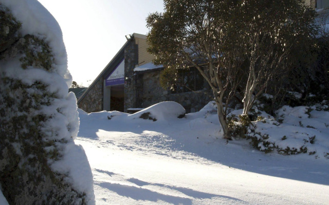 Snowy Gums