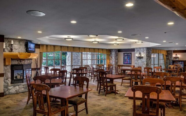 Blackcomb Springs Suites by CLIQUE