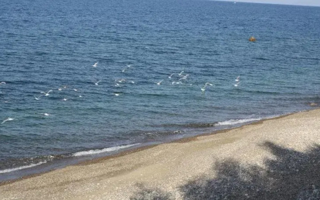 Camere & Casa Vacanze Lo Scoglio