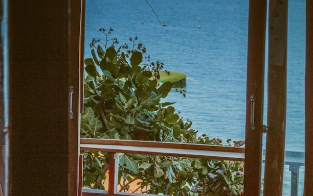 Sao Bien Cam Ranh