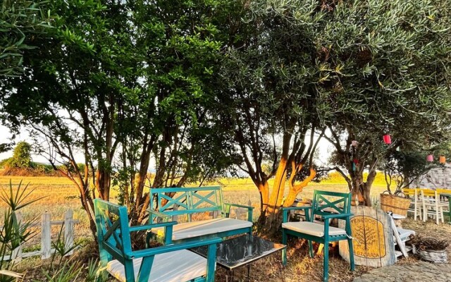 Tenedos Tatil Odaları