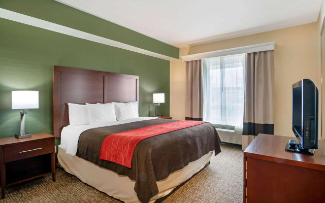 Comfort Inn and Suites Salem