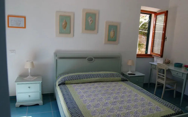 La Rosada B&B