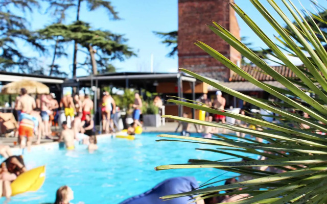 Le Canard Sur Le Toit