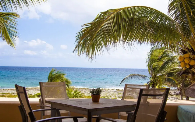 Homing Bird Apartments